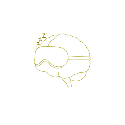 NeuroOnyrix Sleep